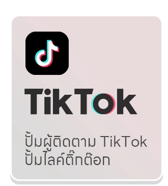 เพิ่มผู้ติดตาม TikTok, เพิ่มถูกใจ TikTok, เพิ่มจำนวนการเข้าชม TikTok